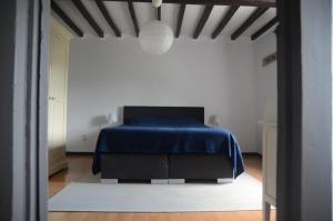 a bedroom with a bed with a blue blanket at Lavaux 60 in La Roche-en-Ardenne