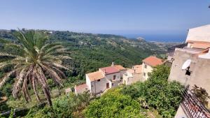 um grupo de edifícios numa colina com uma palmeira em B&B Biancamano em Maierà