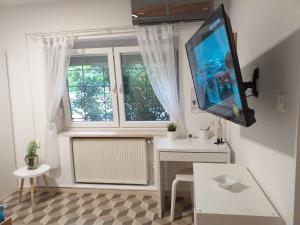 TV a/nebo společenská místnost v ubytování Apartma Nadja with private parking