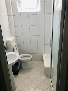 een badkamer met een toilet en een wastafel bij Fuk-tak's bungalow in Star Dojran