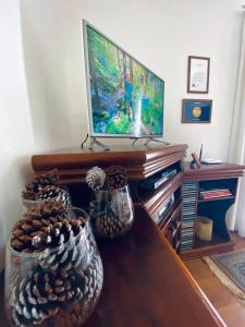 - une télévision assise au-dessus d'une table en bois avec des vases dans l'établissement Casa dos Neves, à Campos do Jordão