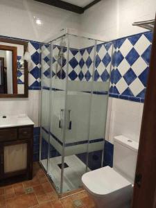 ein Bad mit einer Glasdusche und einem WC in der Unterkunft Casa del Molino in Titulcia