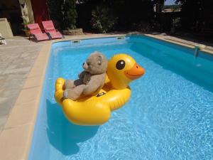 un osito de peluche sentado sobre un pato de goma en una piscina en La Soleillade Laudun en Laudun