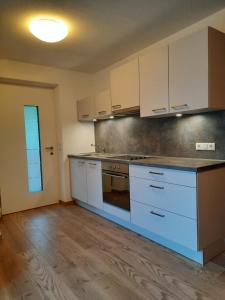 Köök või kööginurk majutusasutuses Apartment an der Aue