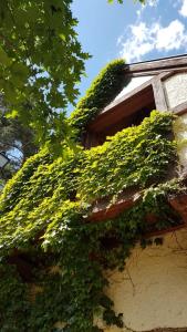 Vonkajšia záhrada v ubytovaní La Casita de Navacerrada