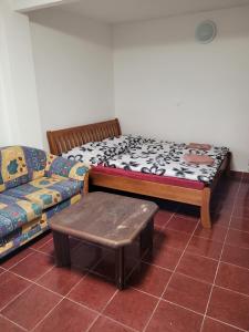 Pokój z łóżkiem, kanapą i stołem w obiekcie Penzion Duong Apartments w Karlowych Warach +15 zdjęć
