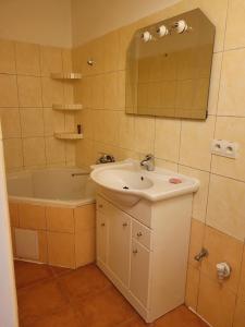 łazienka z umywalką i wanną w obiekcie Penzion Duong Apartments w Karlowych Warach