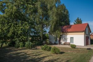 a house with a red roof and a tree at Dizrobeznieki in Veldze