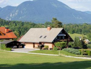 a house with a roof with mountains in the background at Apartments Janjusevic in Bled