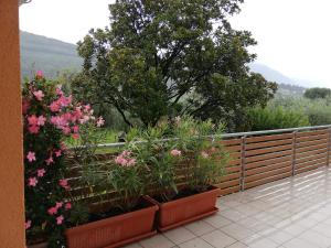 a balcony with some flowers and a fence at Appartamento La Terrazza in Riva del Garda