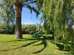 un parque con una mesa de picnic y una palmera en Lo Mas de Suriaca, en El Poblenou del Delta