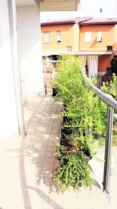 a courtyard with plants on the side of a building at Appartemento Stella in Bergamo