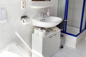 a white bathroom with a sink and a mirror at Apartment mit Dachterrasse nahe Zwickau in Glauchau