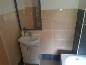Kúpeľňa v ubytovaní Apartmány u Mlýna