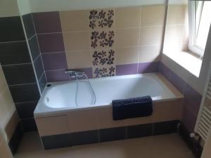 Kúpeľňa v ubytovaní Apartmány u Mlýna