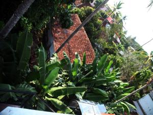 Aaron's Homestay外面的花园