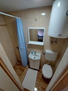 a bathroom with a toilet and a sink and a mirror at Konak Dobri Potok in Krupanj