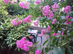 une table et des chaises dans un jardin avec des fleurs roses dans l'établissement Apartman Nana Jagodina, à Jagodina