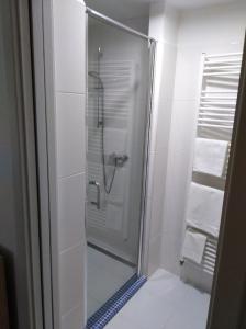 y baño con ducha y puerta de cristal. en Ubytování Bludov u lázní, en Bludov