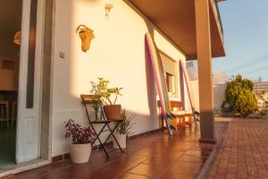 a hallway with potted plants and surfboards on a house at Hospedium Hostel República Surf House in Ericeira