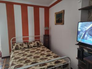 UN RIFUGIO DEL BORGO MEDIEVALE/MEDIEVAL VILLAGE في Gessopalena: غرفة نوم بسرير وتلفزيون