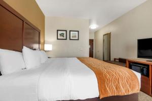 Postel nebo postele na pokoji v ubytování Comfort Inn Near UNT