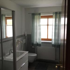 een badkamer met een wastafel, een toilet en een spiegel bij Ferienwohnung Doblhofer in Untergriesbach