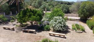 A garden outside Casa Castellitx Mallorca