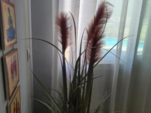 Galeriebild der Unterkunft Apartamento El Remo in Torremolinos