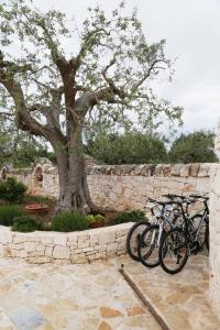 Fotografie z fotogalerie ubytování Trullo Montetrecarlini v Alberobellu