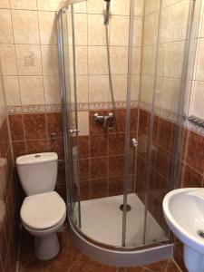 a bathroom with a shower with a toilet and a sink at Dom Wypoczynkowy U Kasi in Jurgów