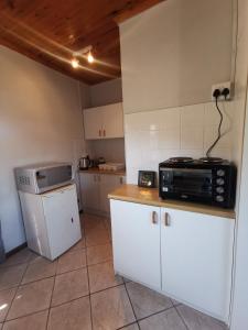 a small kitchen with a microwave and a refrigerator at Cozy, peaceful garden cottage in Cape Town +11 photos
