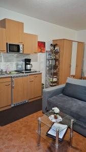 a living room with a couch and a kitchen at Apartment Blütenstadt Werder im Souterraine in Werder