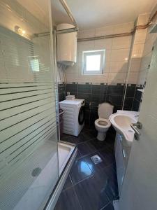 a bathroom with a shower and a toilet and a sink at Guest house Paradise Kolašin in Kolašin +9 photos