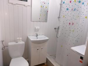 a bathroom with a toilet and a sink and a shower at Domek Kontenerowy N5 - 5 osobowy 2 Pokoje , Kuchnia , Łazienka - Izdebno- NoclegiGrodziskPL in Grodzisk Mazowiecki