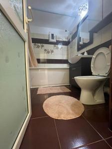 een badkamer met toilet en wastafel bij Luxury House Medusa in Piteşti