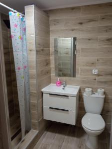 uma casa de banho com um WC, um lavatório e um espelho. em M3 - Mieszkanie 2 pokoje , kuchnia , łazienka em Grodzisk Mazowiecki