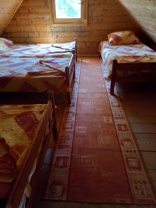 Camera mansardata con 2 letti e finestra. di Vikendica a Čanj