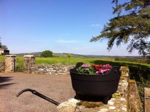 una maceta llena de flores sentada en una pared de piedra en The Stables - 200 Year Old Stone Built Cottage en Foxford