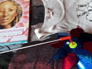 a pair of scissors sitting next to a magazine at Mostly Muse in Eidenberg