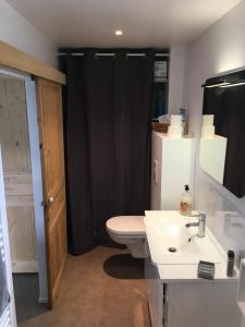 een badkamer met een wit toilet en een wastafel bij Les Vallées in Fondettes