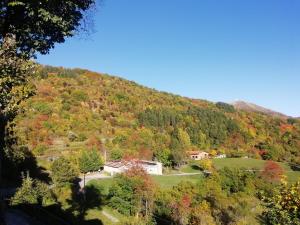 a house on a hill in the middle of a forest at Locanda Belvedere Pey in Zerba +18 photos
