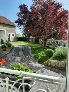 una finestra con vista sul giardino di una casa di Gîte des Agapanthes a Lacroix-sur-Meuse