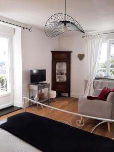 un soggiorno con divano e TV di Gîte des Agapanthes a Lacroix-sur-Meuse