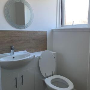 a bathroom with a toilet and a sink and a mirror at Albert Road Apartment in Eyemouth +6 photos