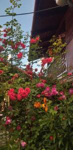 Fotografie z fotogalerie ubytování Casa boierului Imbri v destinaci Cîrţişoara