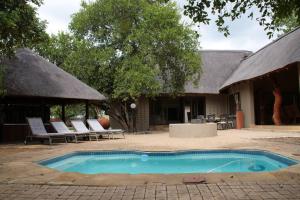 a swimming pool in front of a house at 86 Zebula 12 Sleeper Lodge in Mabula