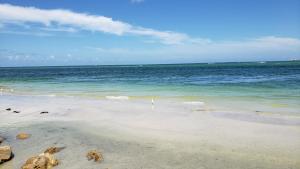 Gallery image of Hotel Del-Fino in St. Pete Beach
