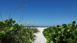 Gallery image of Hotel Del-Fino in St. Pete Beach