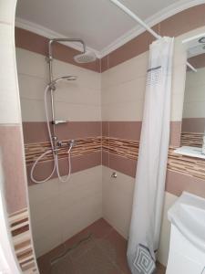 y baño con ducha y cortina de ducha. en Ezüstfenyő Vendégház en Sárospatak